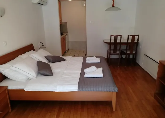 公寓 Apartmaji Z Fizine 波尔托罗